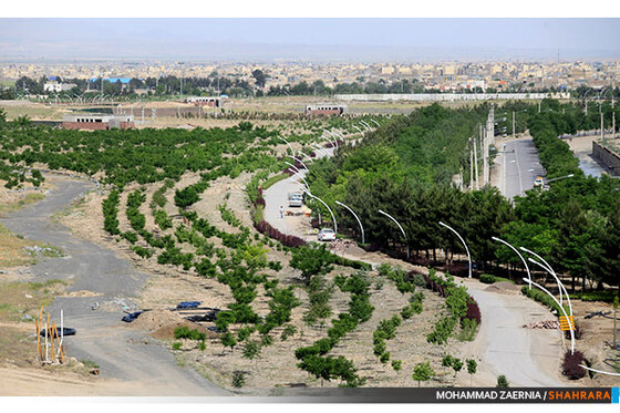 پروژه پارک بزرگ بهار