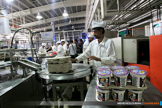 کارخانه تولید محصولات لبنی