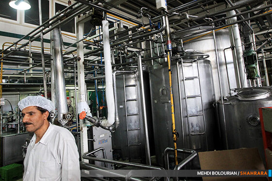 کارخانه تولید محصولات لبنی