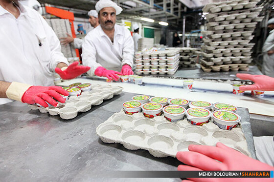 کارخانه تولید محصولات لبنی