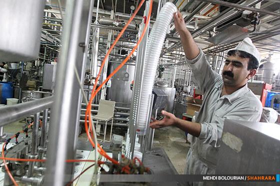 کارخانه تولید محصولات لبنی