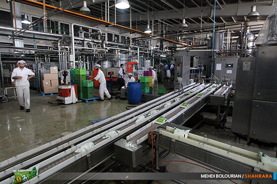 کارخانه تولید محصولات لبنی