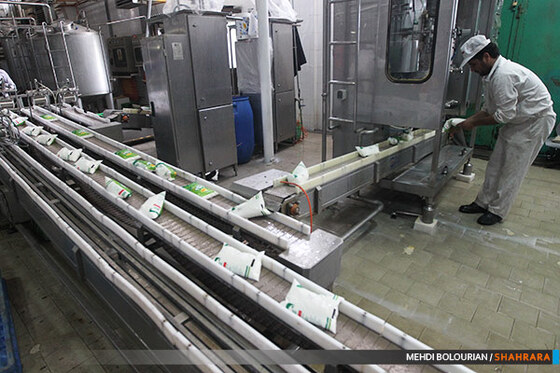 کارخانه تولید محصولات لبنی