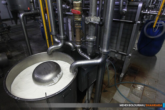 کارخانه تولید محصولات لبنی