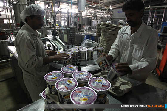 کارخانه تولید محصولات لبنی