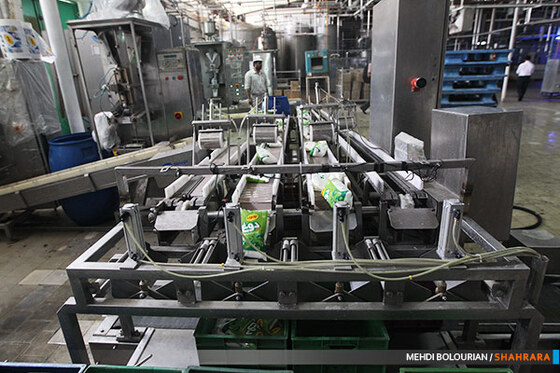 کارخانه تولید محصولات لبنی