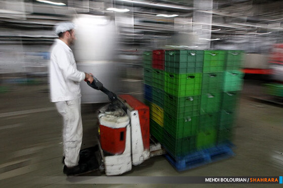 کارخانه تولید محصولات لبنی