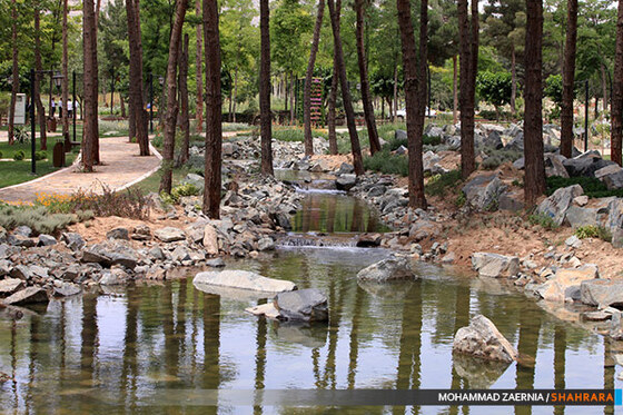 افتتاح باغ گیاه شناسی مشهد