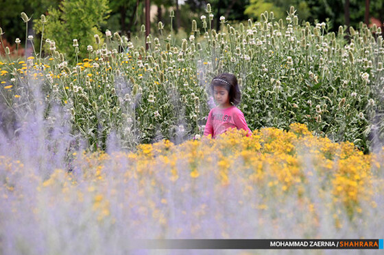 افتتاح باغ گیاه شناسی مشهد