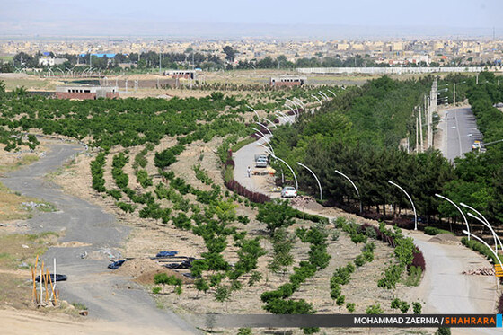 پروژه بوستان بهار در منطقه سه