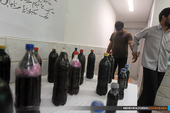 دستگیری اعضای باند گرگ ها