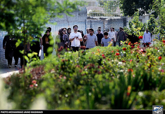 همایش پیاده روی خانوادگی