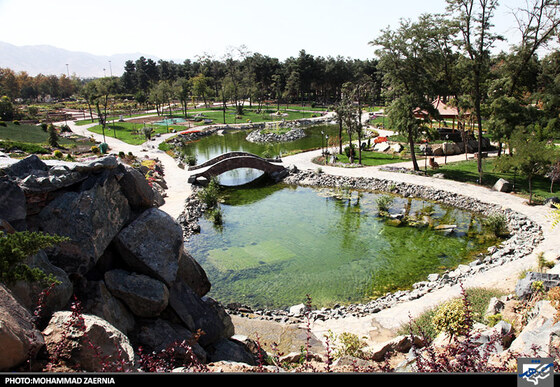  بازدید اعضای کمیسیون خدمات شهری شورای شهر از باغ گیاه شناسی 