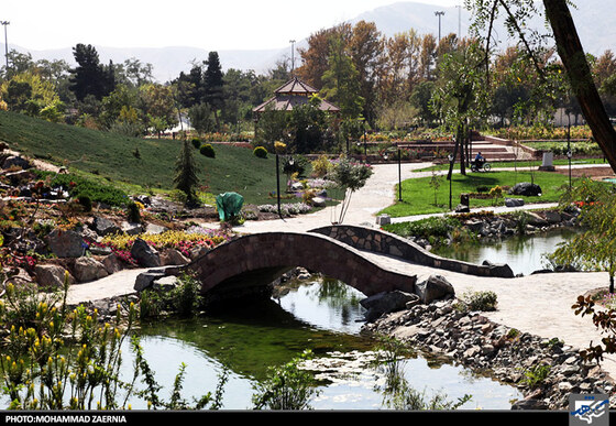  بازدید اعضای کمیسیون خدمات شهری شورای شهر از باغ گیاه شناسی 