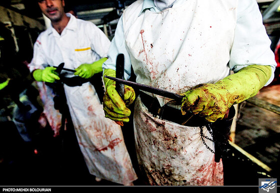 تیز کردن چاقوی ذبح در کشتارگاه صنعتی مشهد
