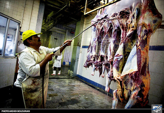 کشتارگاه صنعتی مشهد