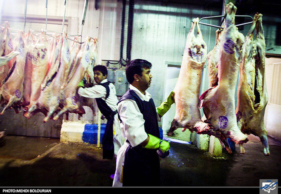 جابجایی گوشت ذبح شده گوسفند در کشتارگاه صنعتی مشهد