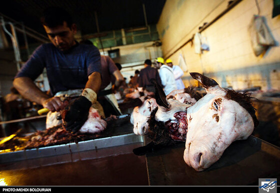 کارگاه پاک کردن گوسفند