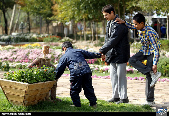 جشنواره گل های داوودی