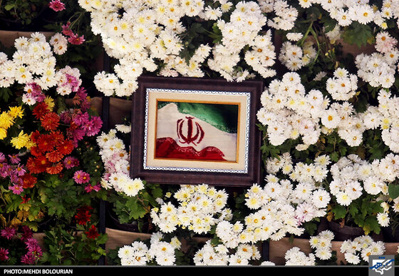 جشنواره گل های داوودی