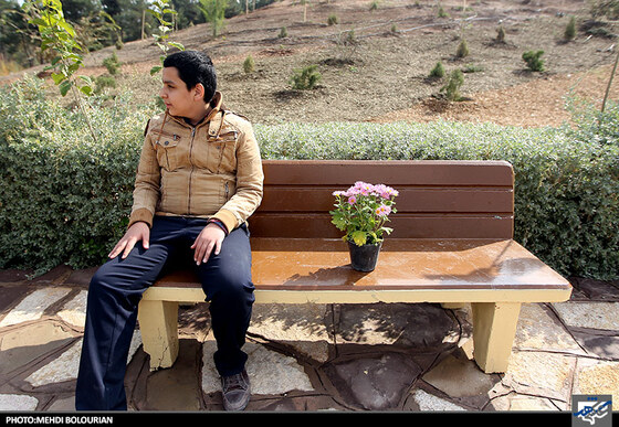 جشنواره گل های داوودی