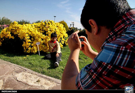  جشنواره گل های داوودی در باغ گیاه شناسی مشهد