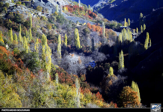 پاییز در کنگ