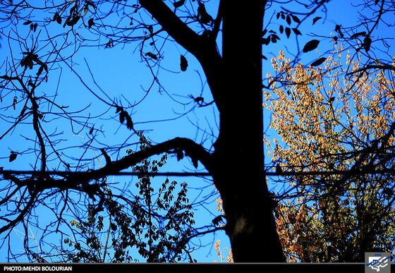 پاییز در کنگ