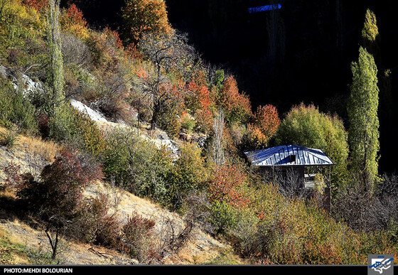 پاییز در کنگ