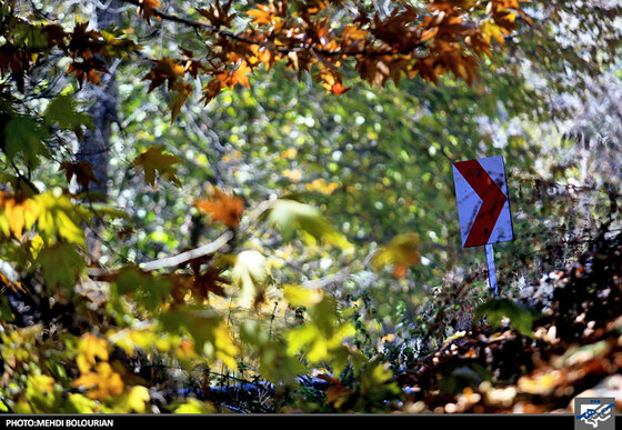 پاییز در کنگ