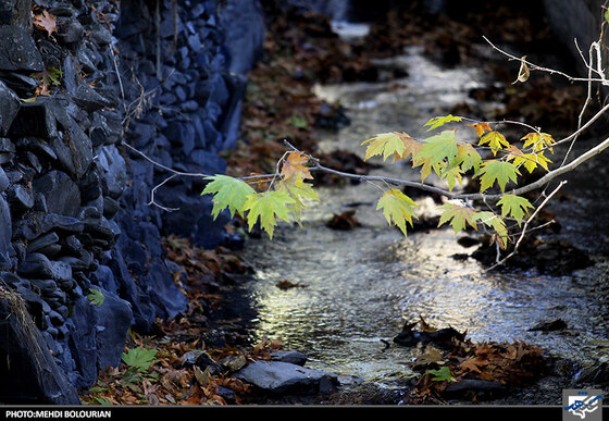 پاییز در کنگ