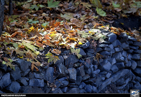 پاییز در کنگ