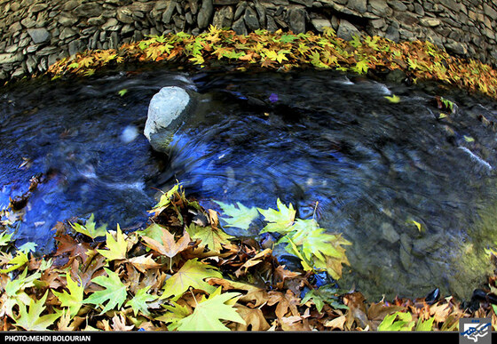 پاییز در کنگ