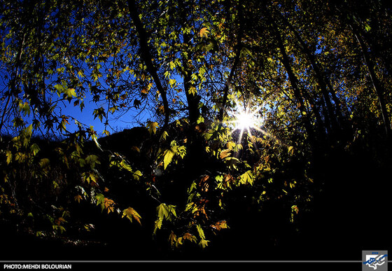 پاییز در کنگ