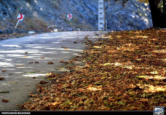 پاییز در کنگ