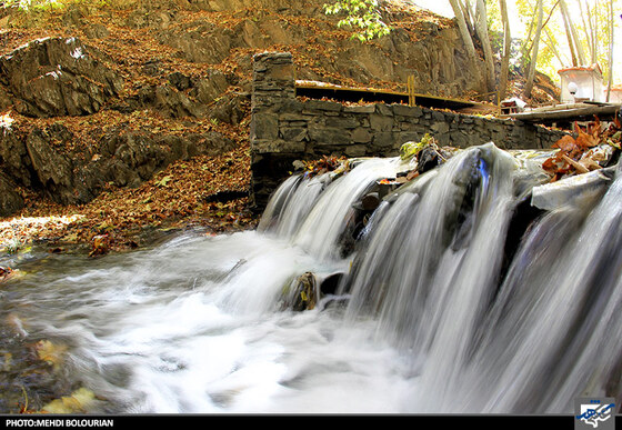 پاییز در کنگ
