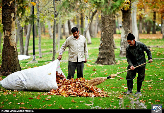 پاییز در بوستان ملت