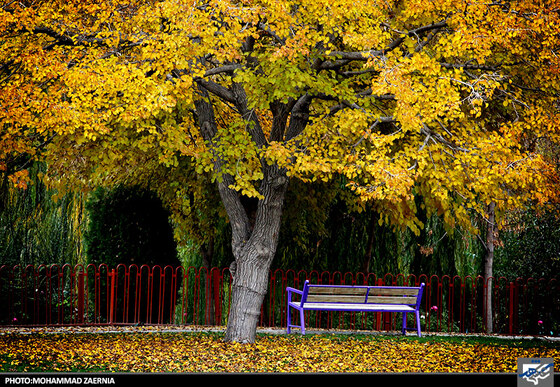 پاییز در بوستان ملت