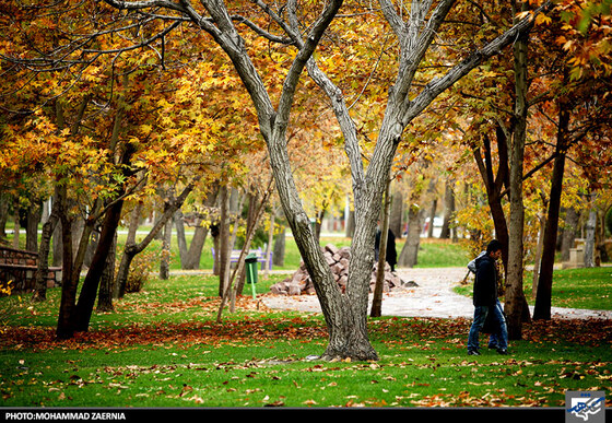 پاییز در بوستان ملت