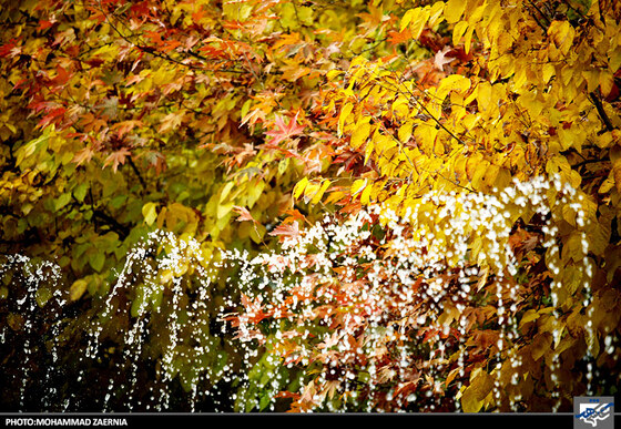 پاییز در بوستان ملت