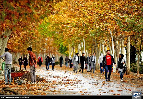 پاییز در بوستان ملت