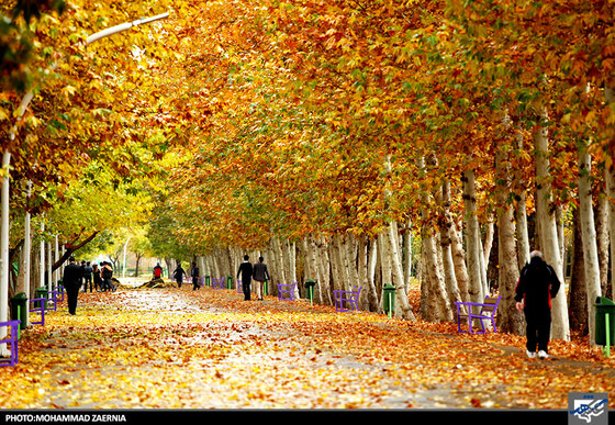 پاییز در بوستان ملت