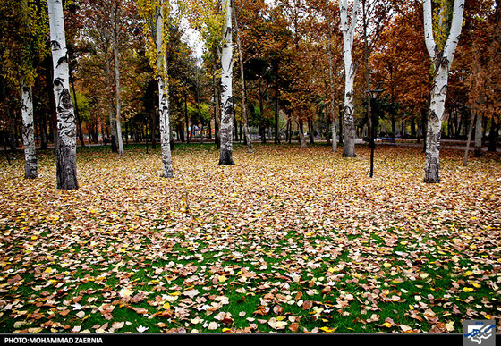 پاییز در بوستان ملت