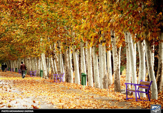 پاییز در بوستان ملت