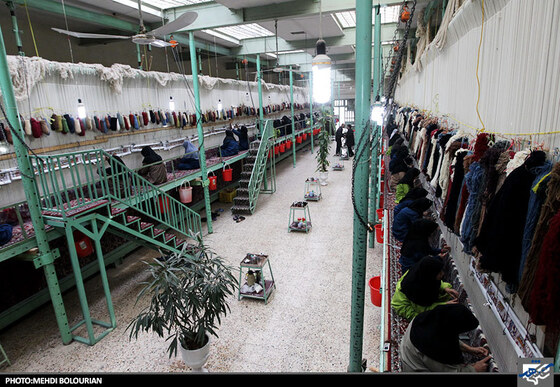 کارگاه بافت فرش