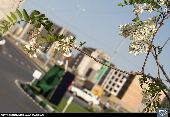 رونمایی از میدان نهج البلاغه