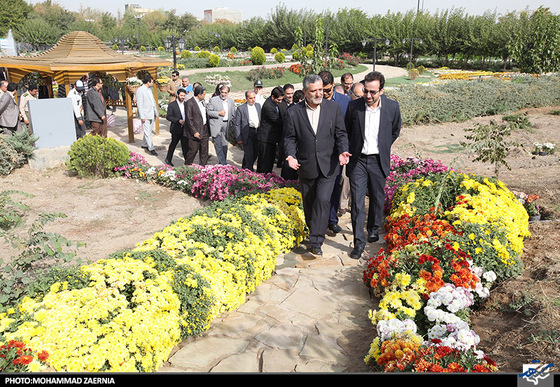 افتتاح جشنواره گل های داوودی