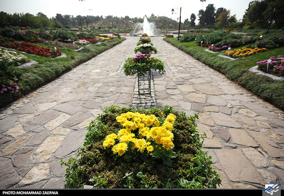 افتتاح جشنواره گل های داوودی