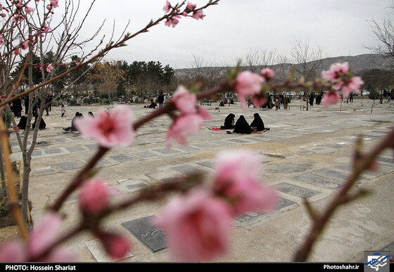 گزارش تصویری :  زیارت مزار شهدا و اهل قبور در آخرین پنجشنبه سال در بهشت رضا ( علیه السلام) مشهد | عکس : حسین شریعت