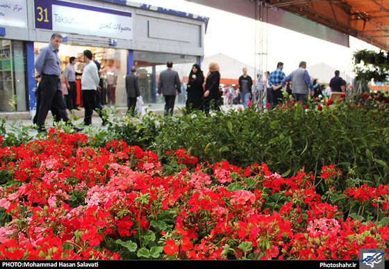 گزارش تصویری | چهاردهمین نمایشگاه بین المللی گل و گیاه، ابزار و ادوات باغبانی مشهد | عکاس : محمد حسن صلواتی